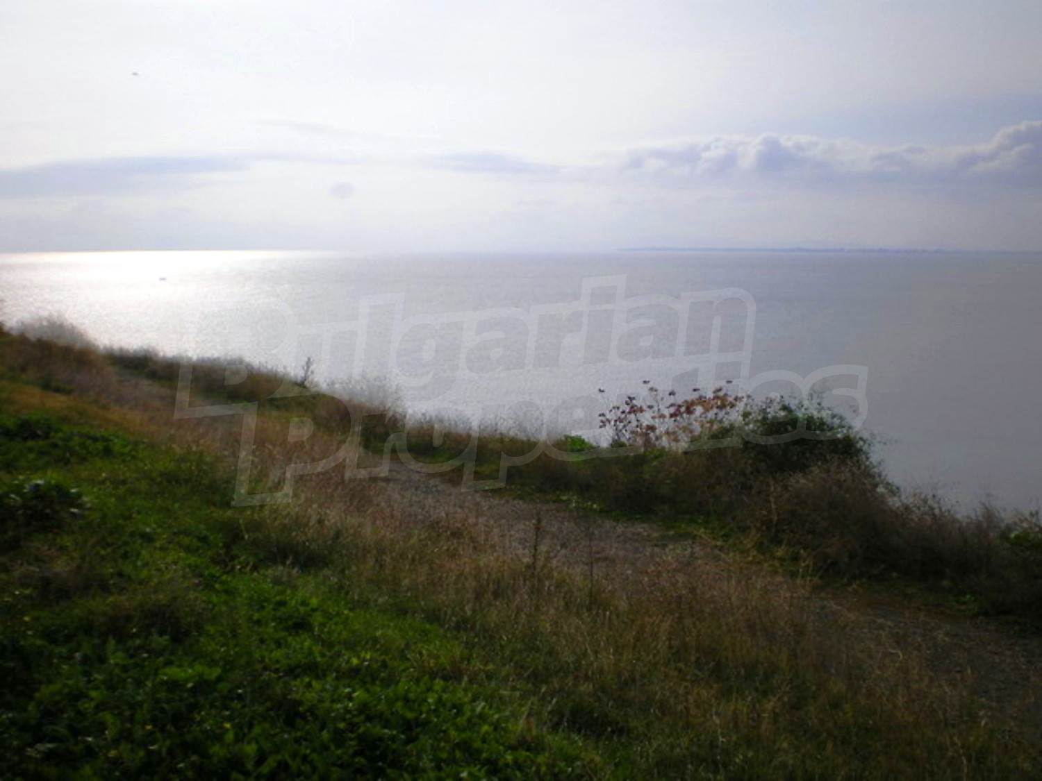 Gallery Picture 25
