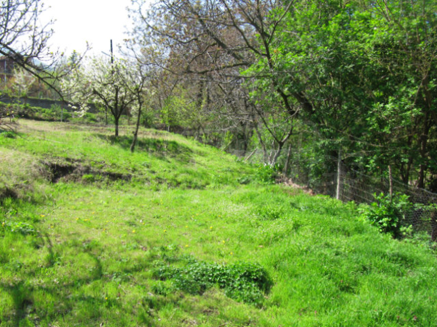 Gallery Picture 10