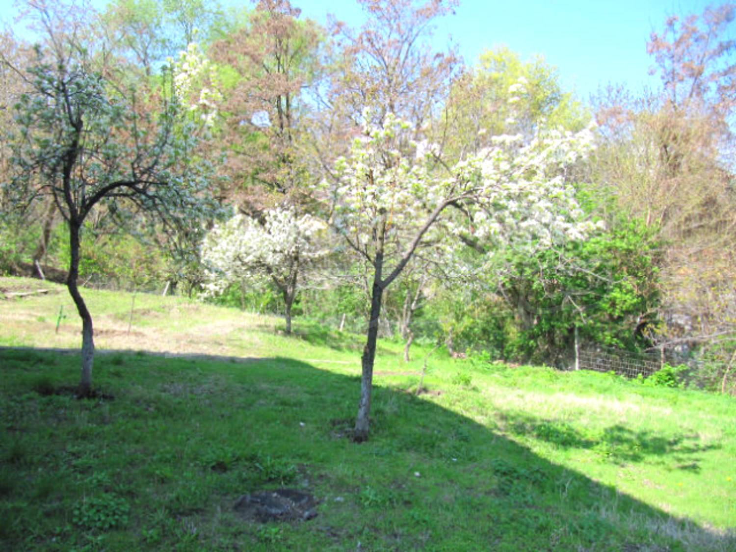 Gallery Picture 12