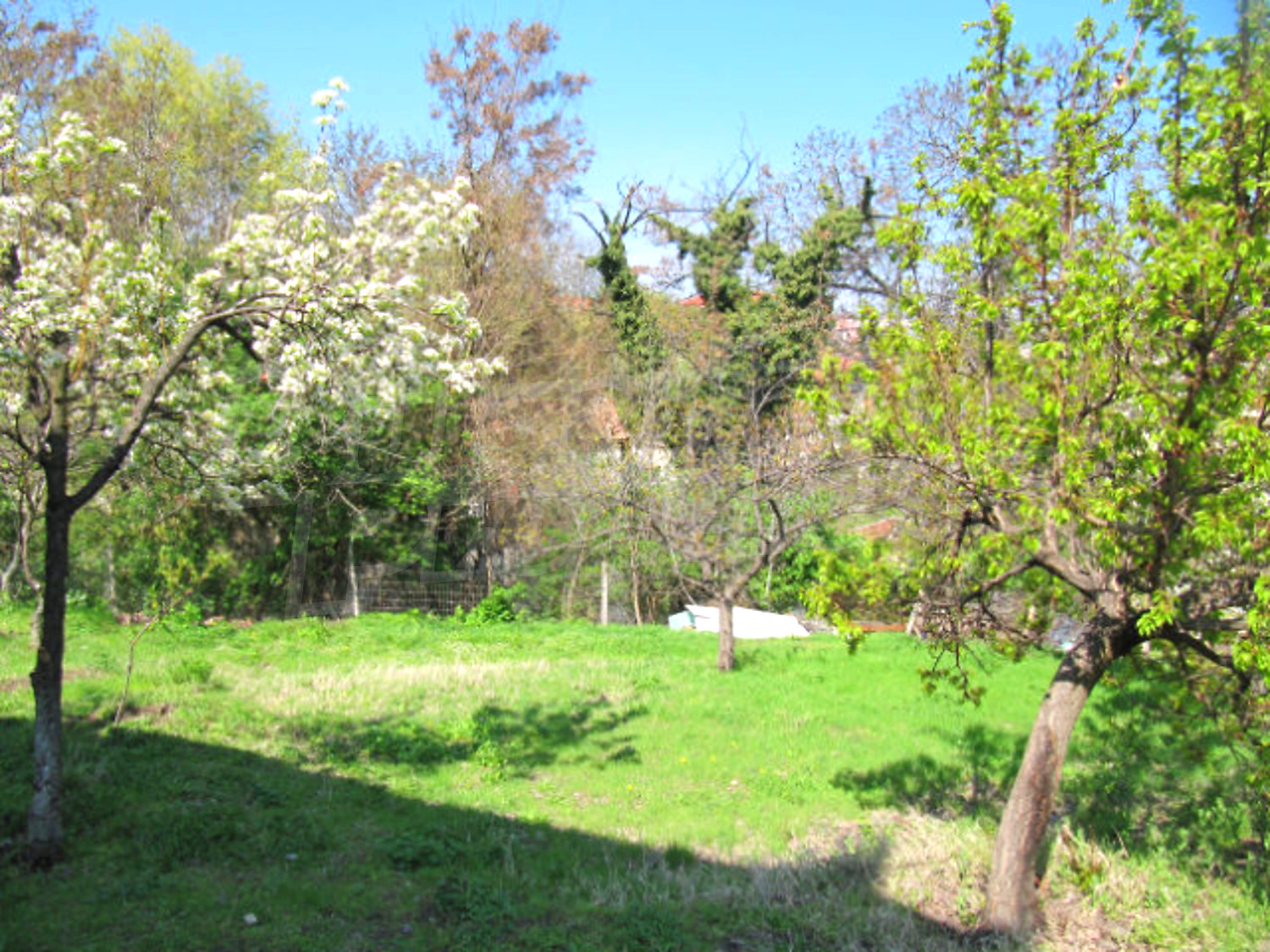 Gallery Picture 13