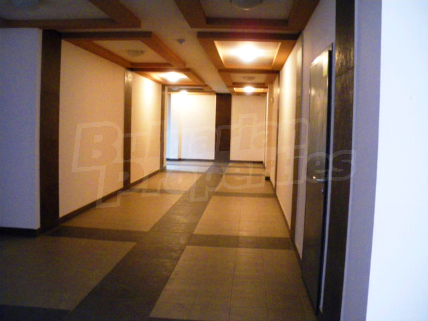 Gallery Picture 12
