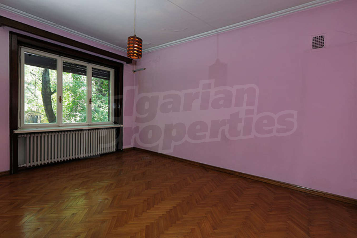Gallery Picture 13