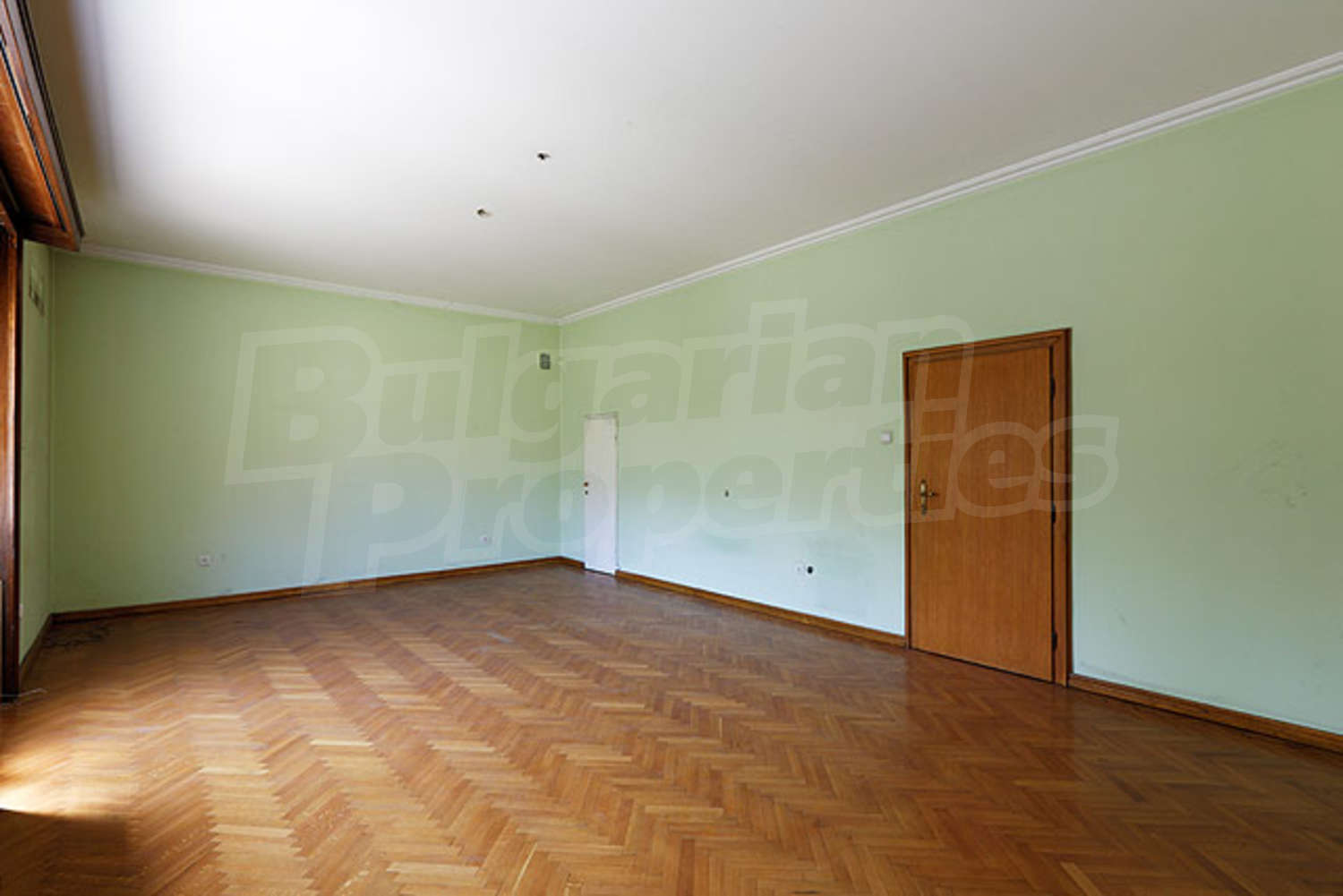 Gallery Picture 14