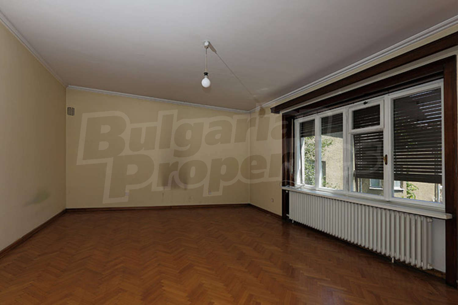 Gallery Picture 16