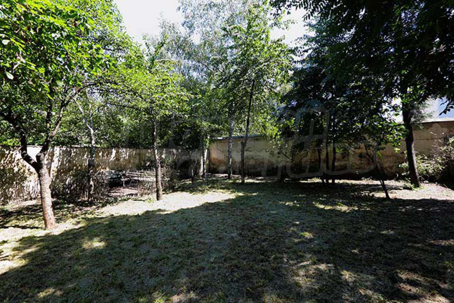 Gallery Picture 21