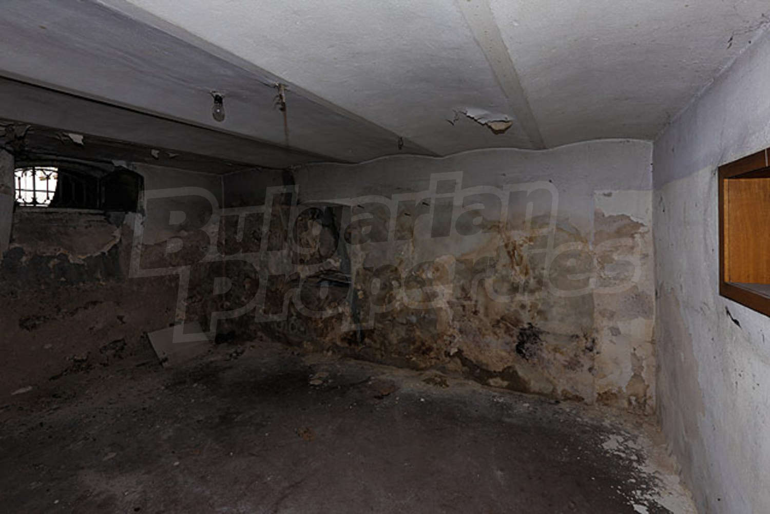 Gallery Picture 24