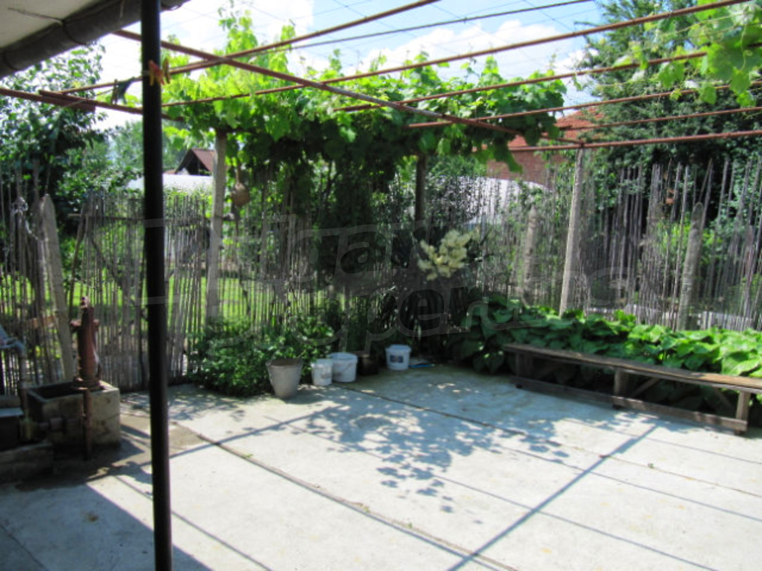 Gallery Picture 11