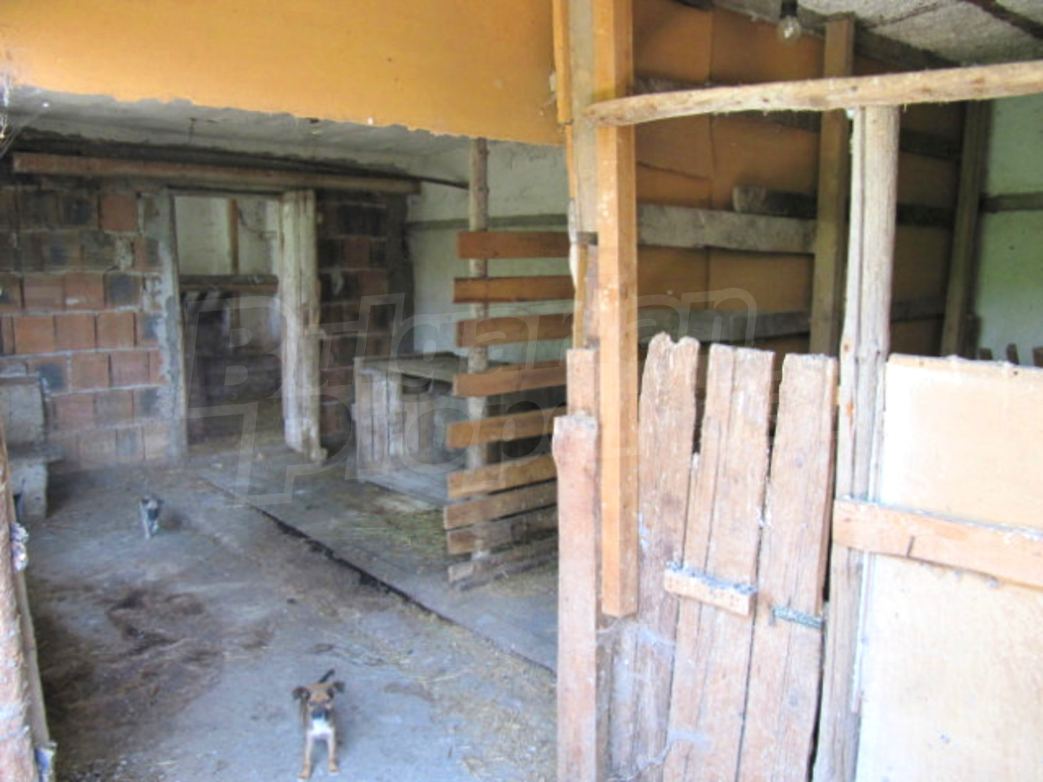 Gallery Picture 22