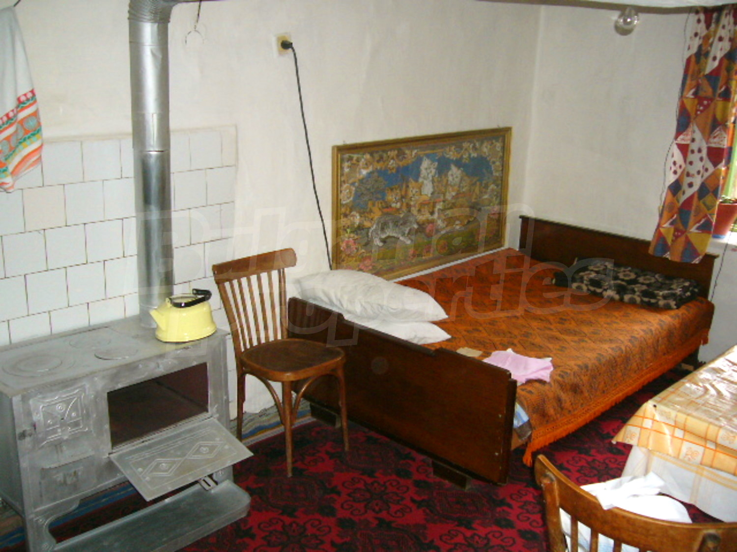 Gallery Picture 12