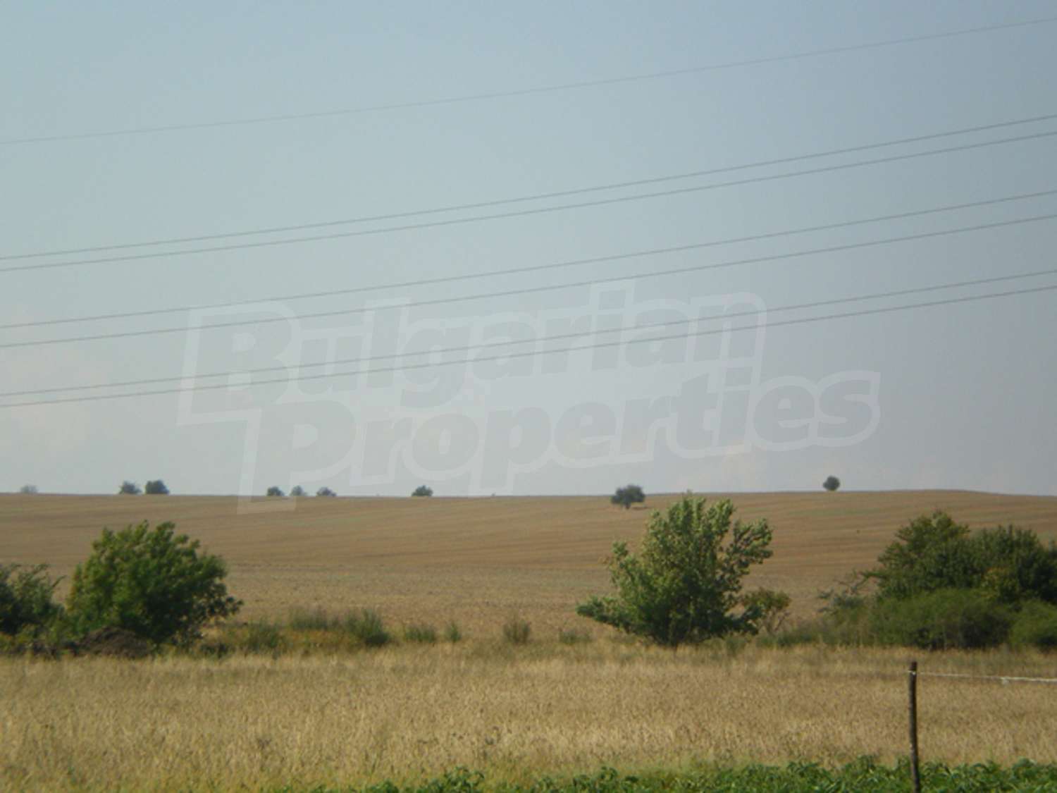 Gallery Picture 4