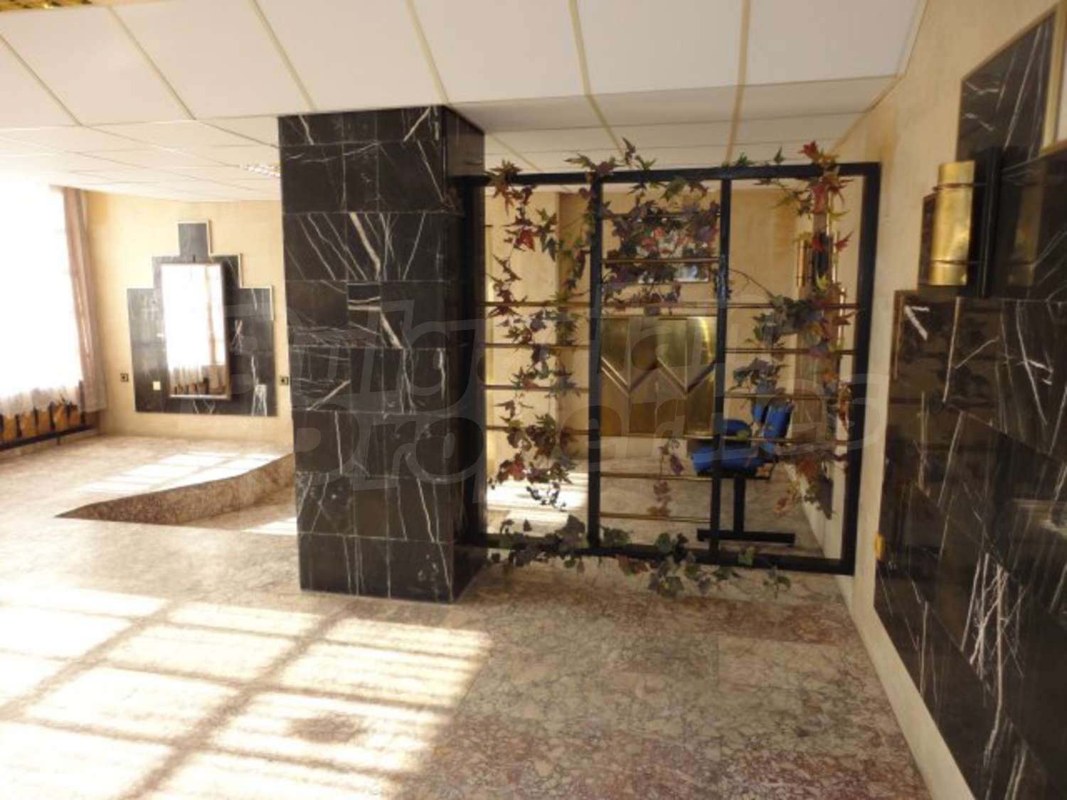 Gallery Picture 16