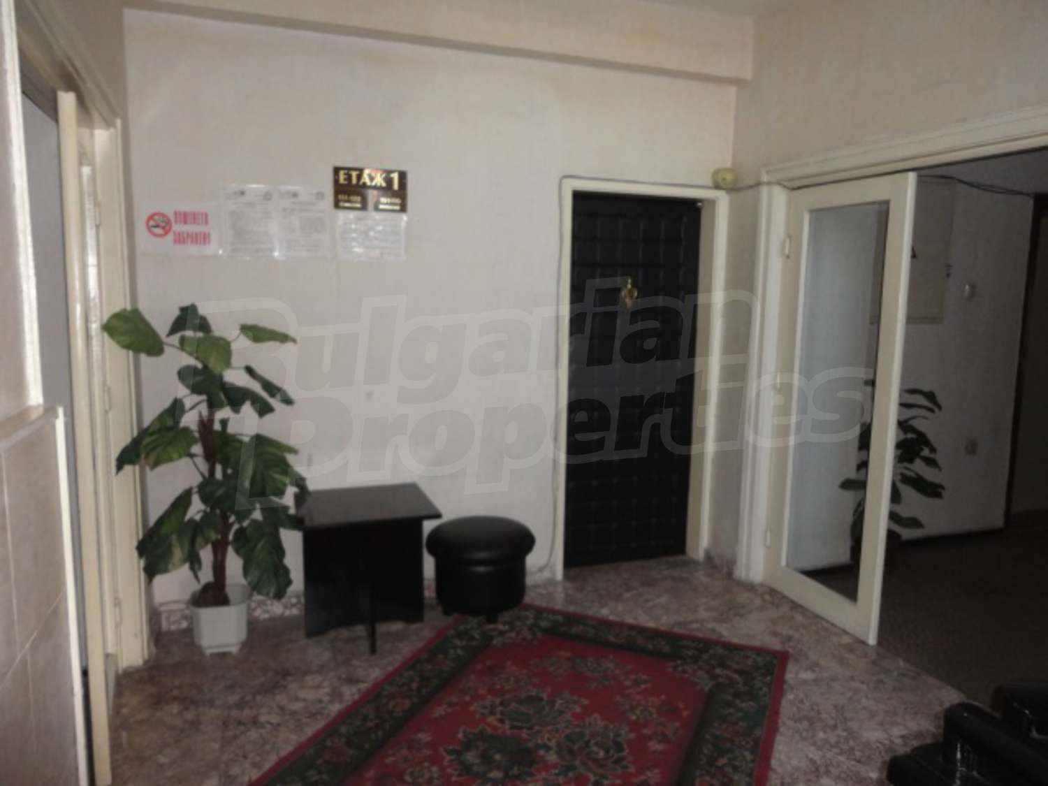 Gallery Picture 20