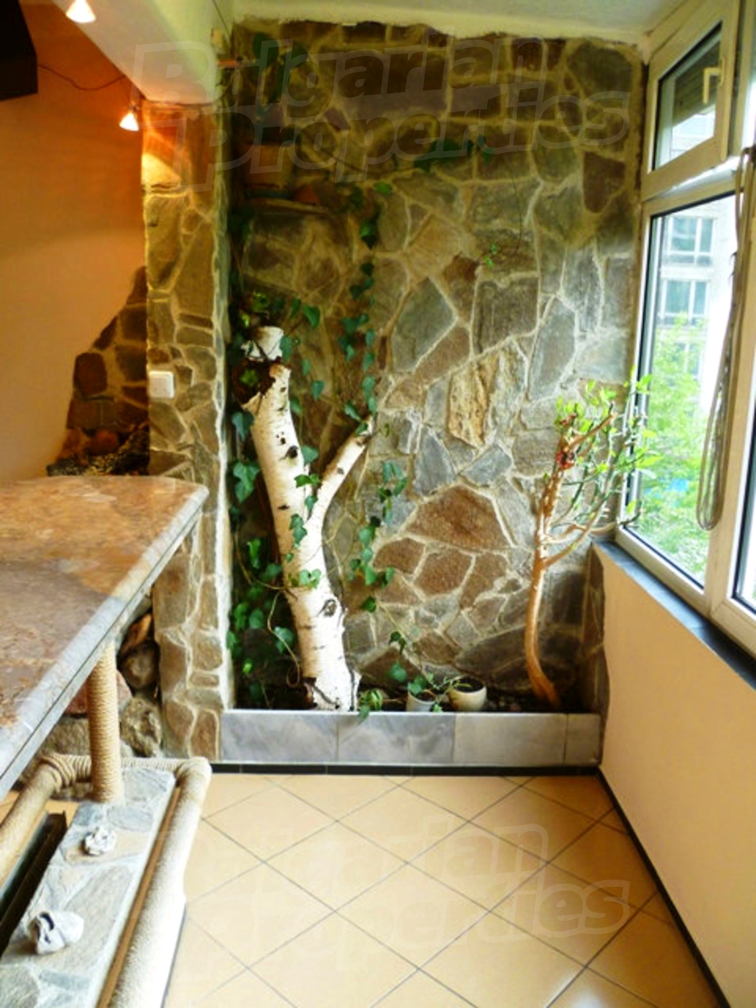 Gallery Picture 11