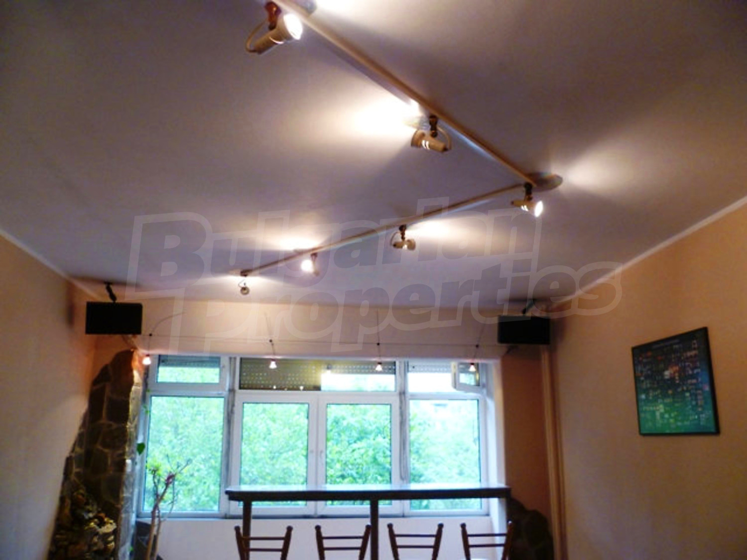 Gallery Picture 12