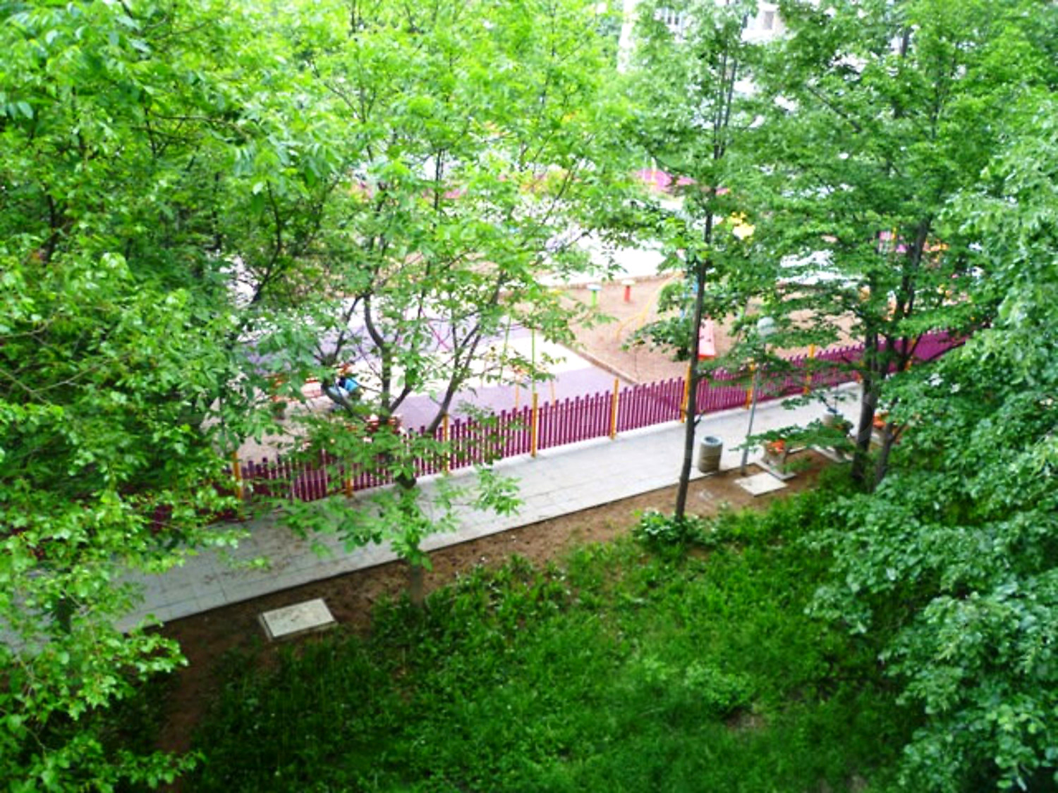 Gallery Picture 25