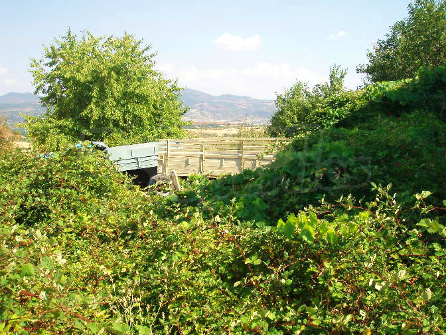 Gallery Picture 11