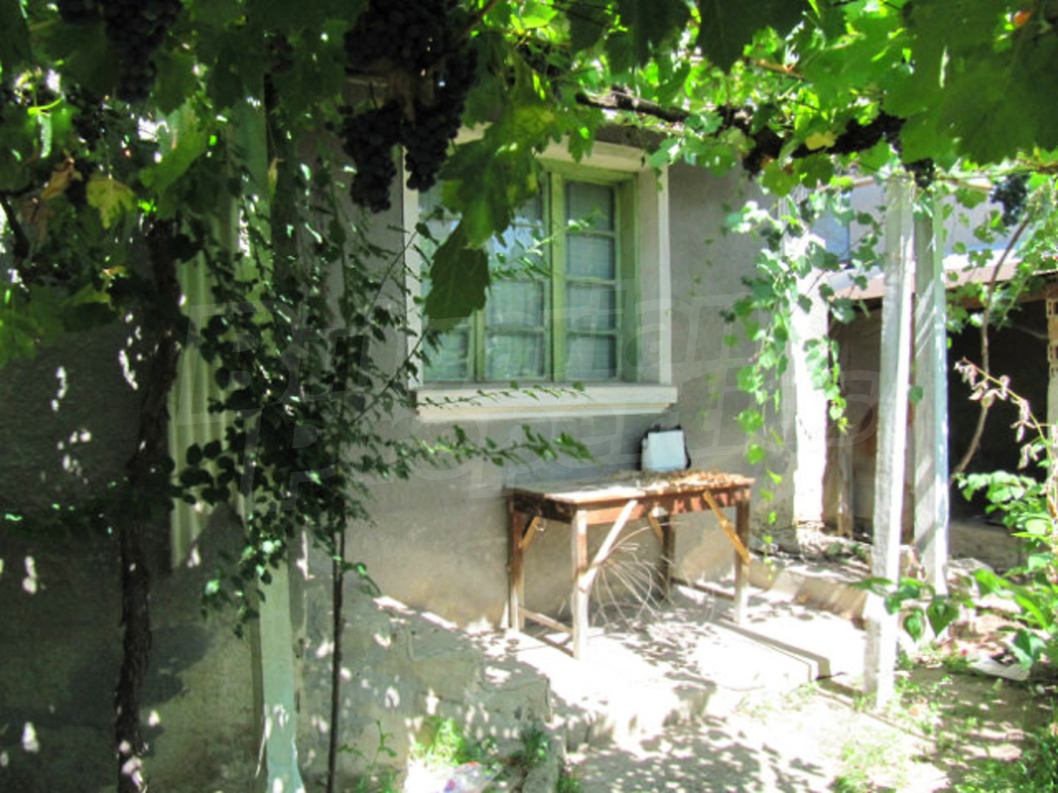 Gallery Picture 16