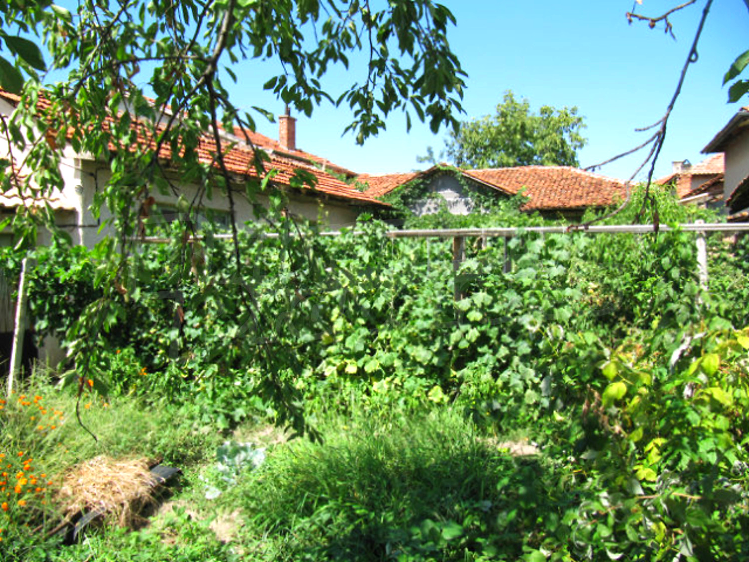 Gallery Picture 17