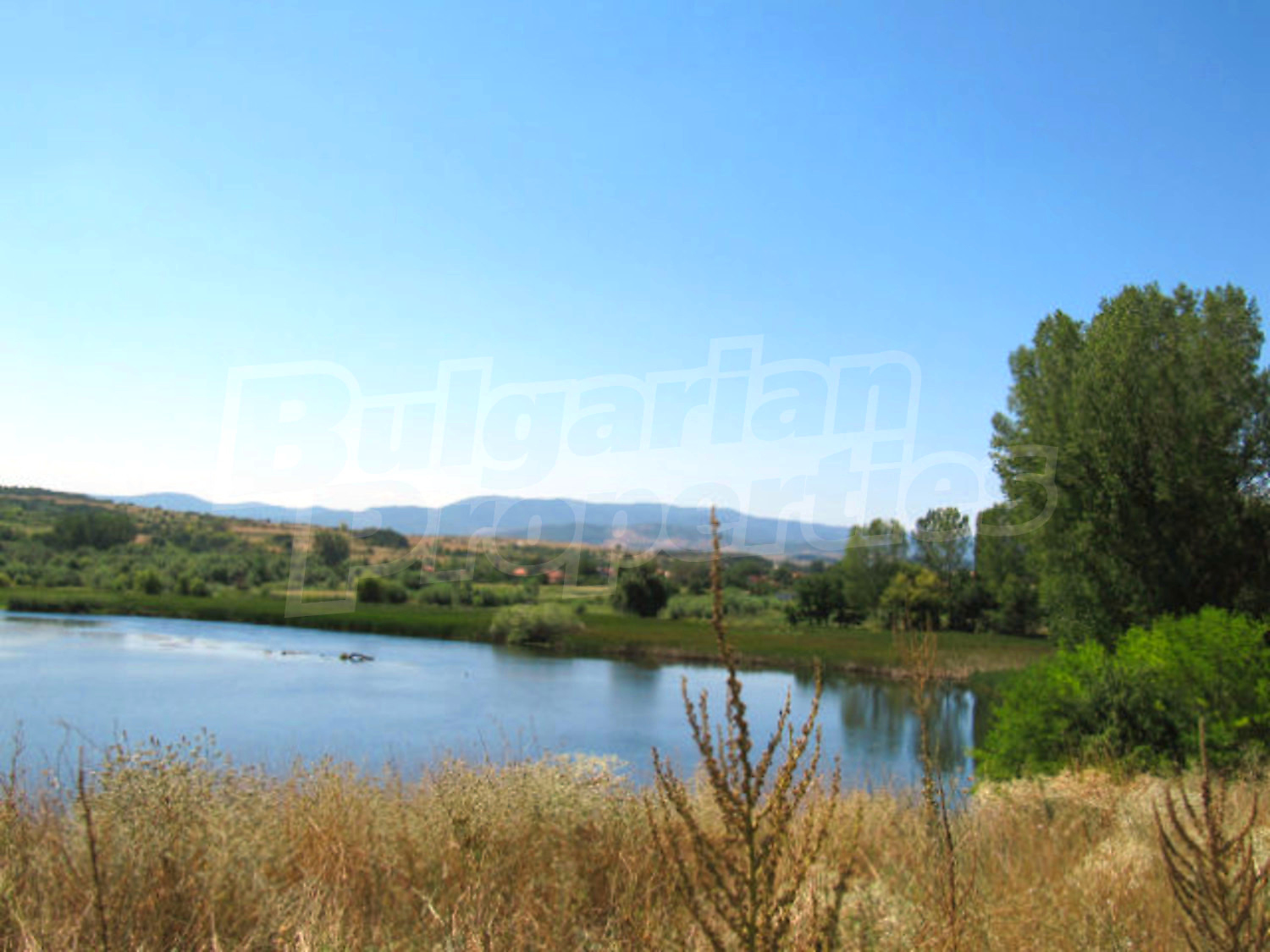 Gallery Picture 23