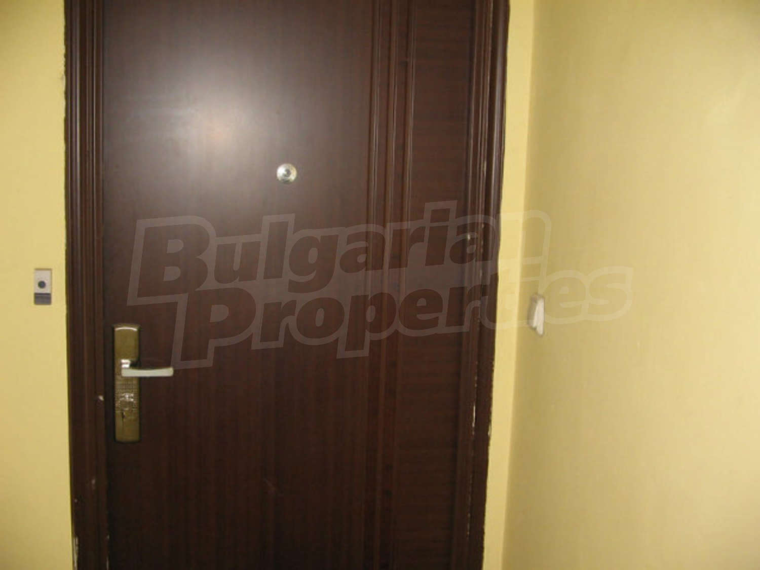 Gallery Picture 4