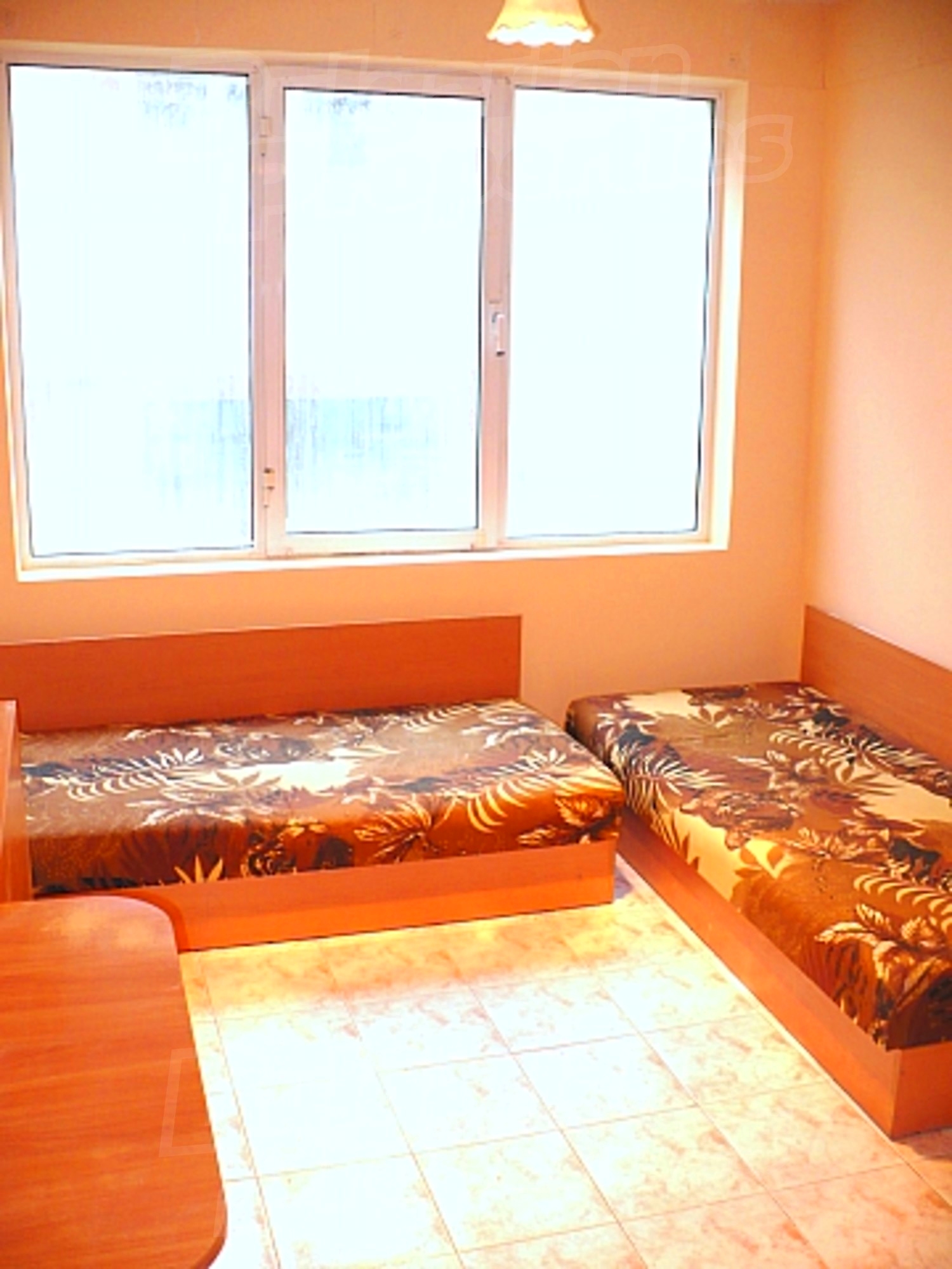 Gallery Picture 9