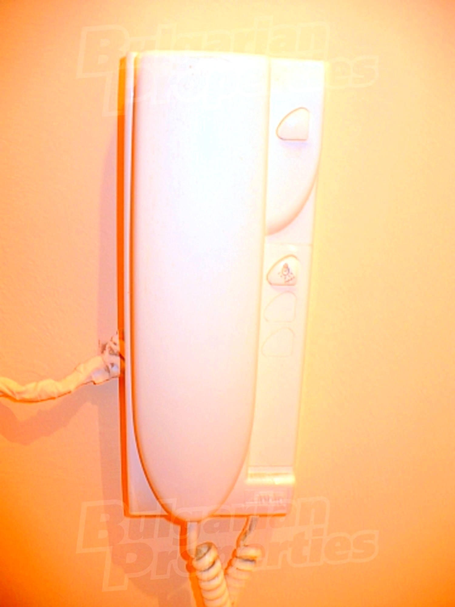 Gallery Picture 16