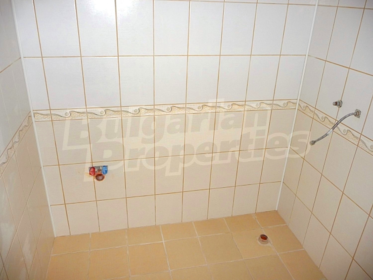 Gallery Picture 16