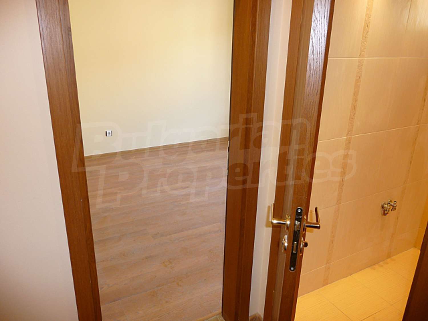 Gallery Picture 7