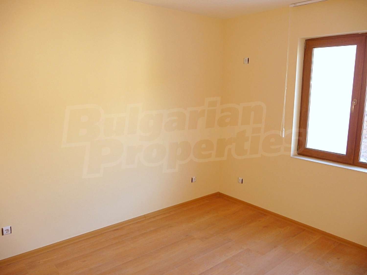 Gallery Picture 8