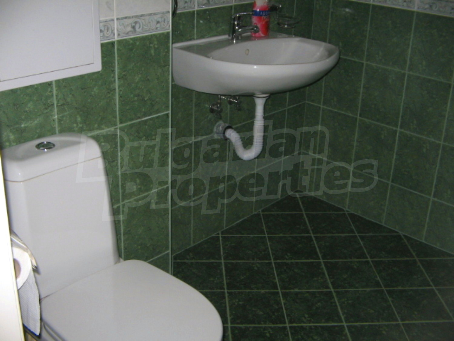 Gallery Picture 19