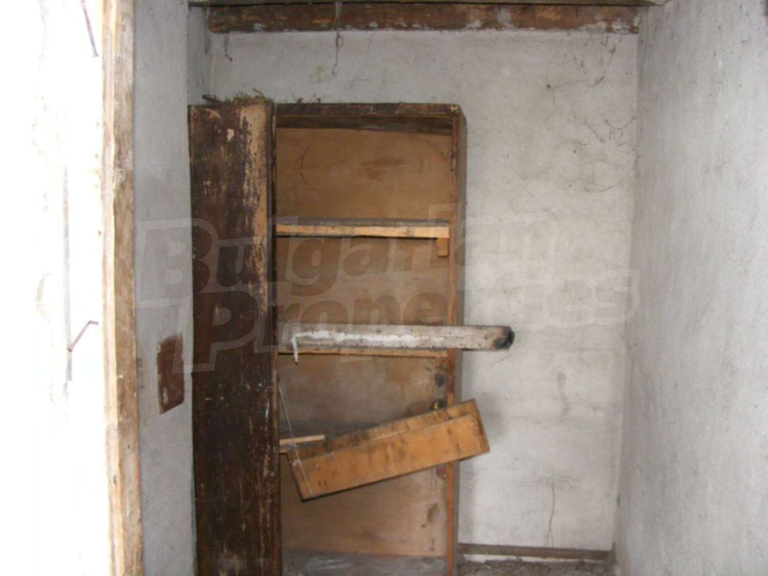 Gallery Picture 10