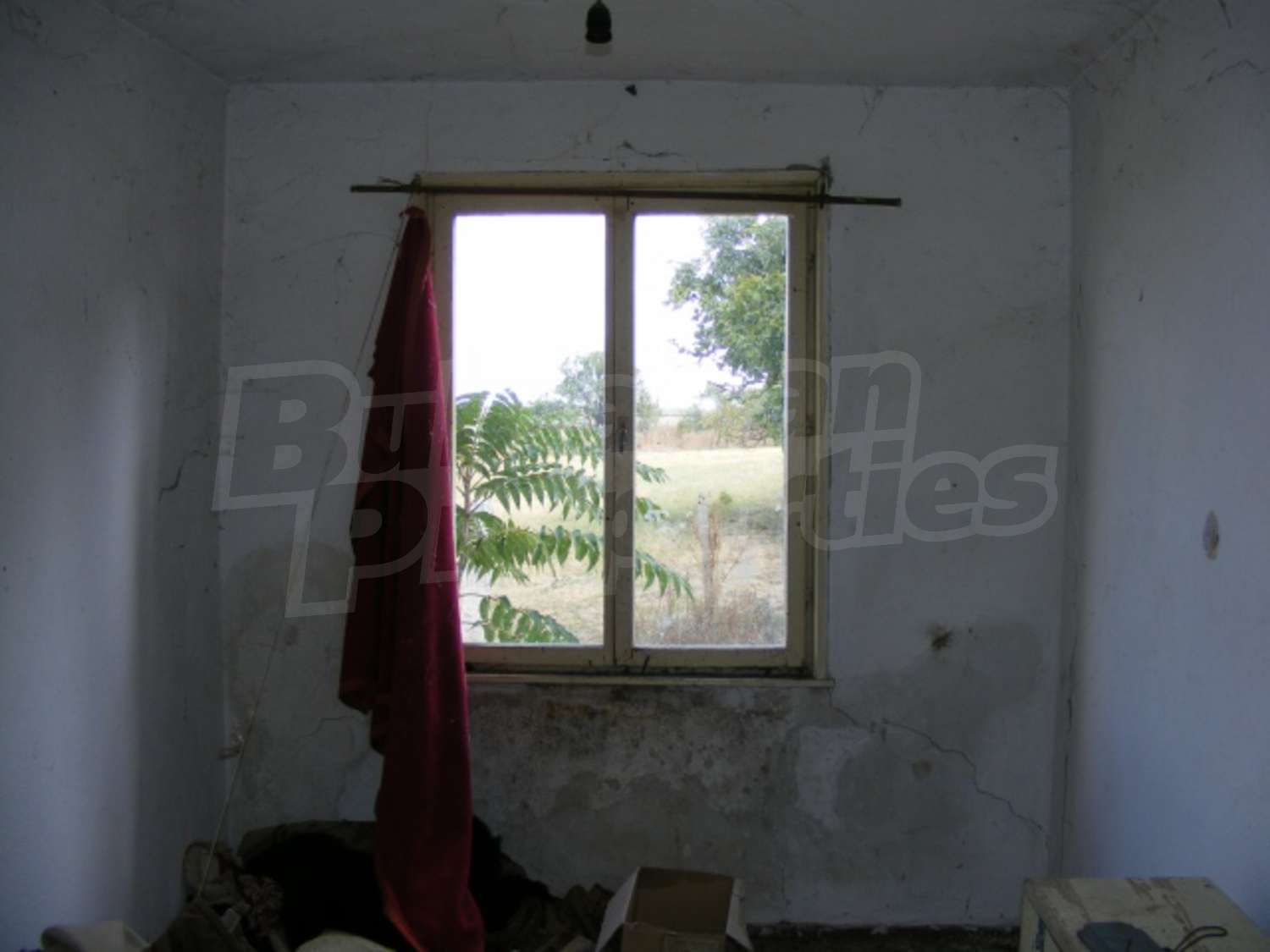Gallery Picture 13