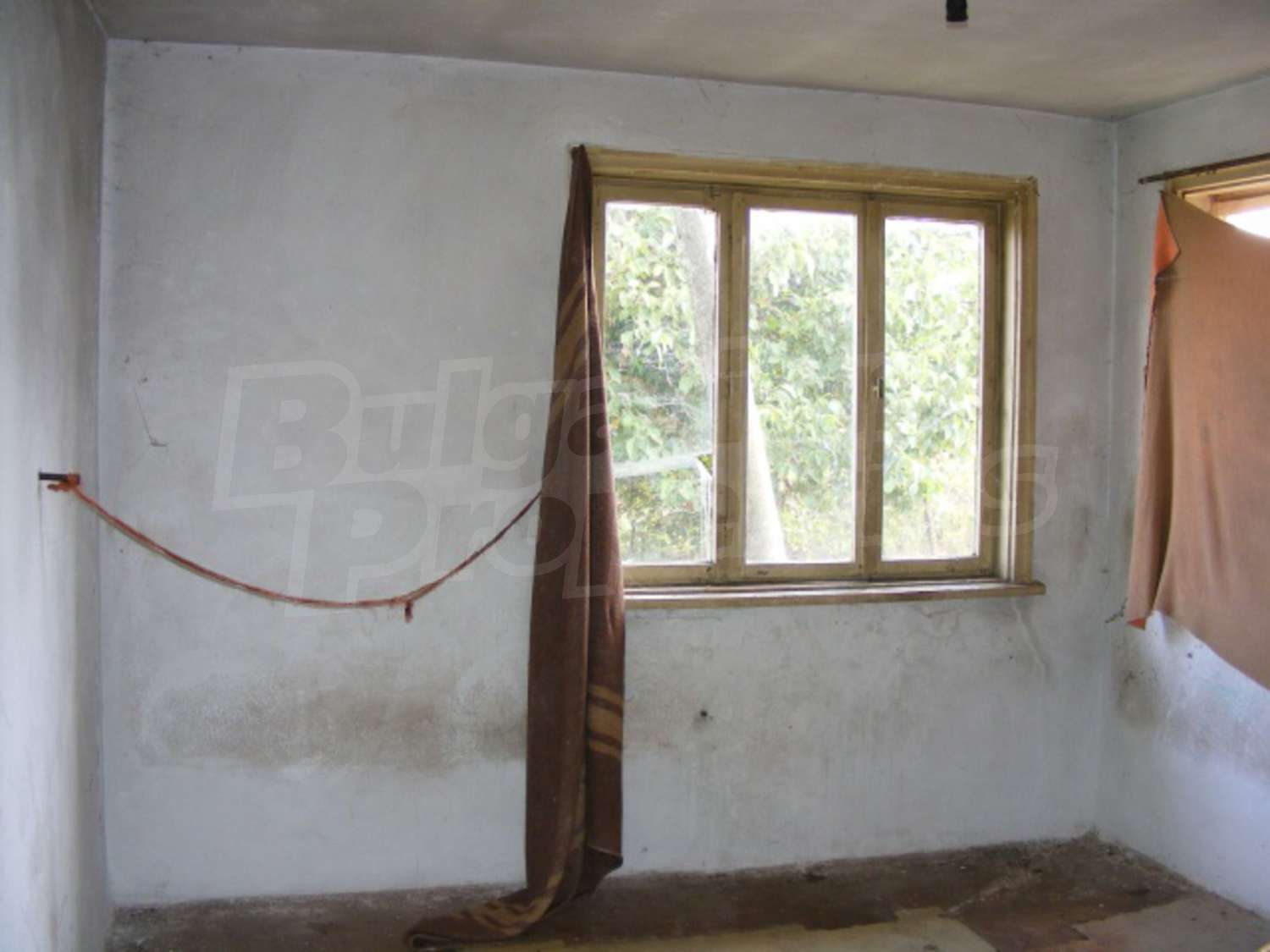 Gallery Picture 15