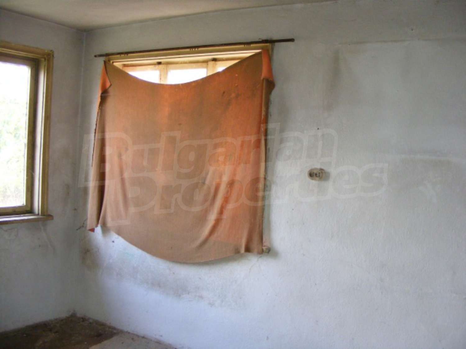 Gallery Picture 16