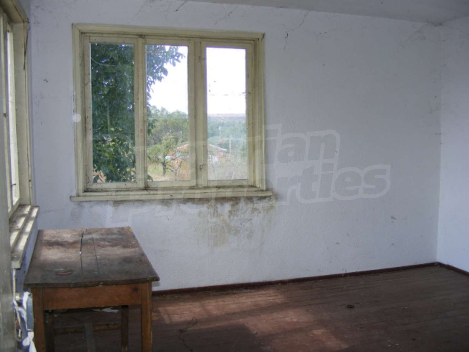 Gallery Picture 18