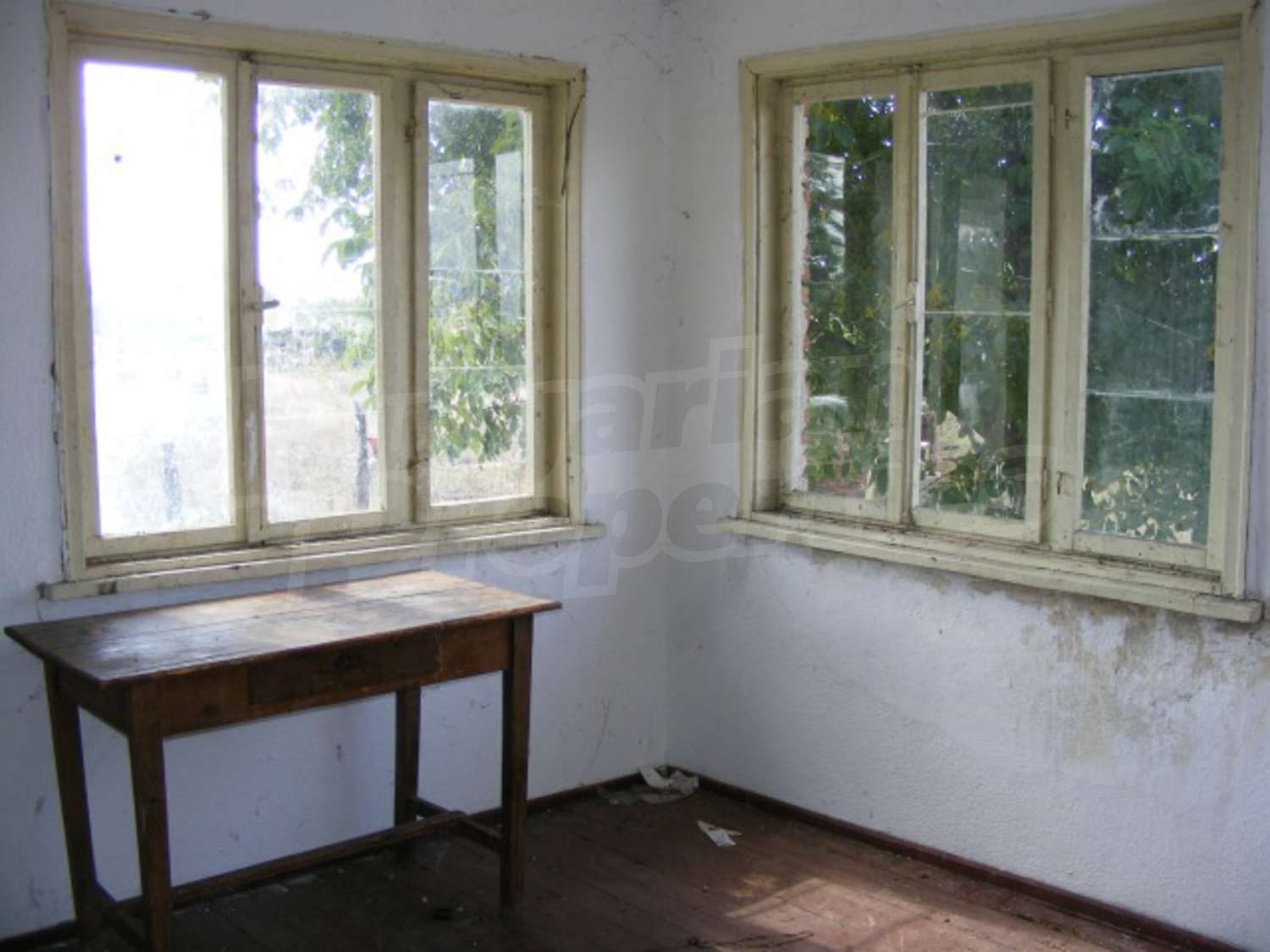 Gallery Picture 19