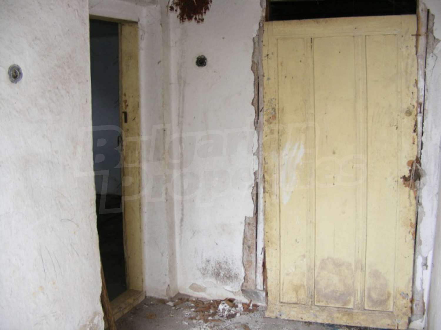 Gallery Picture 5