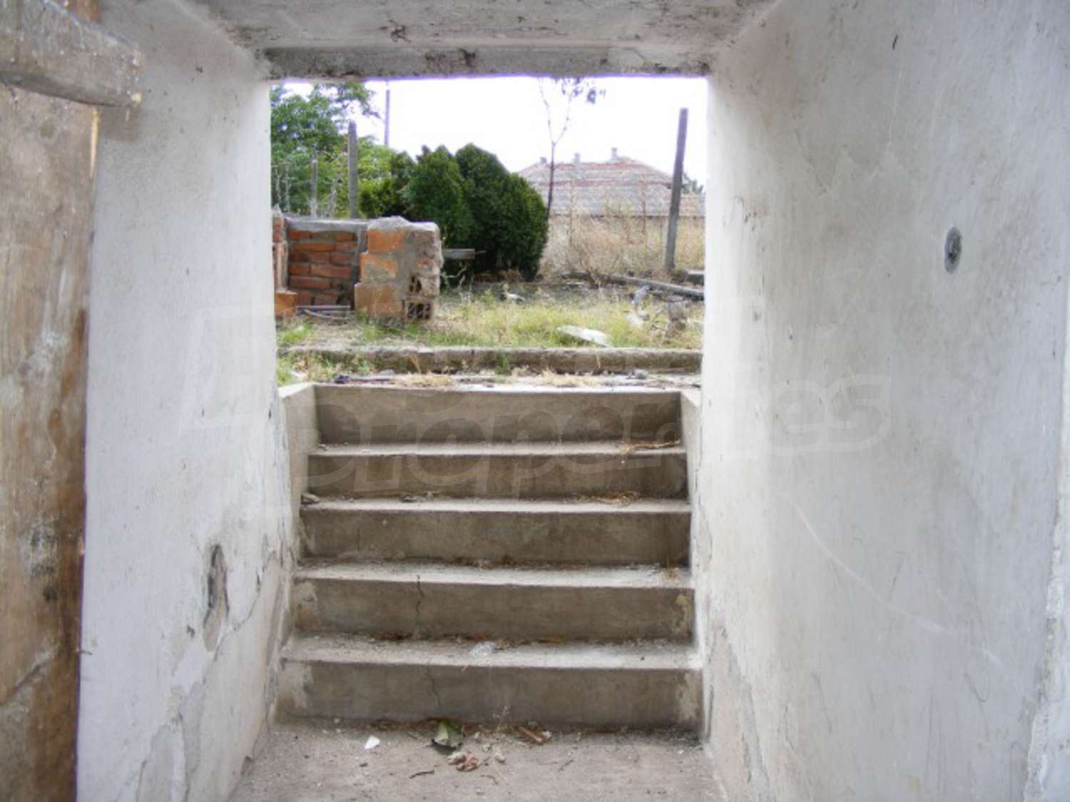 Gallery Picture 6