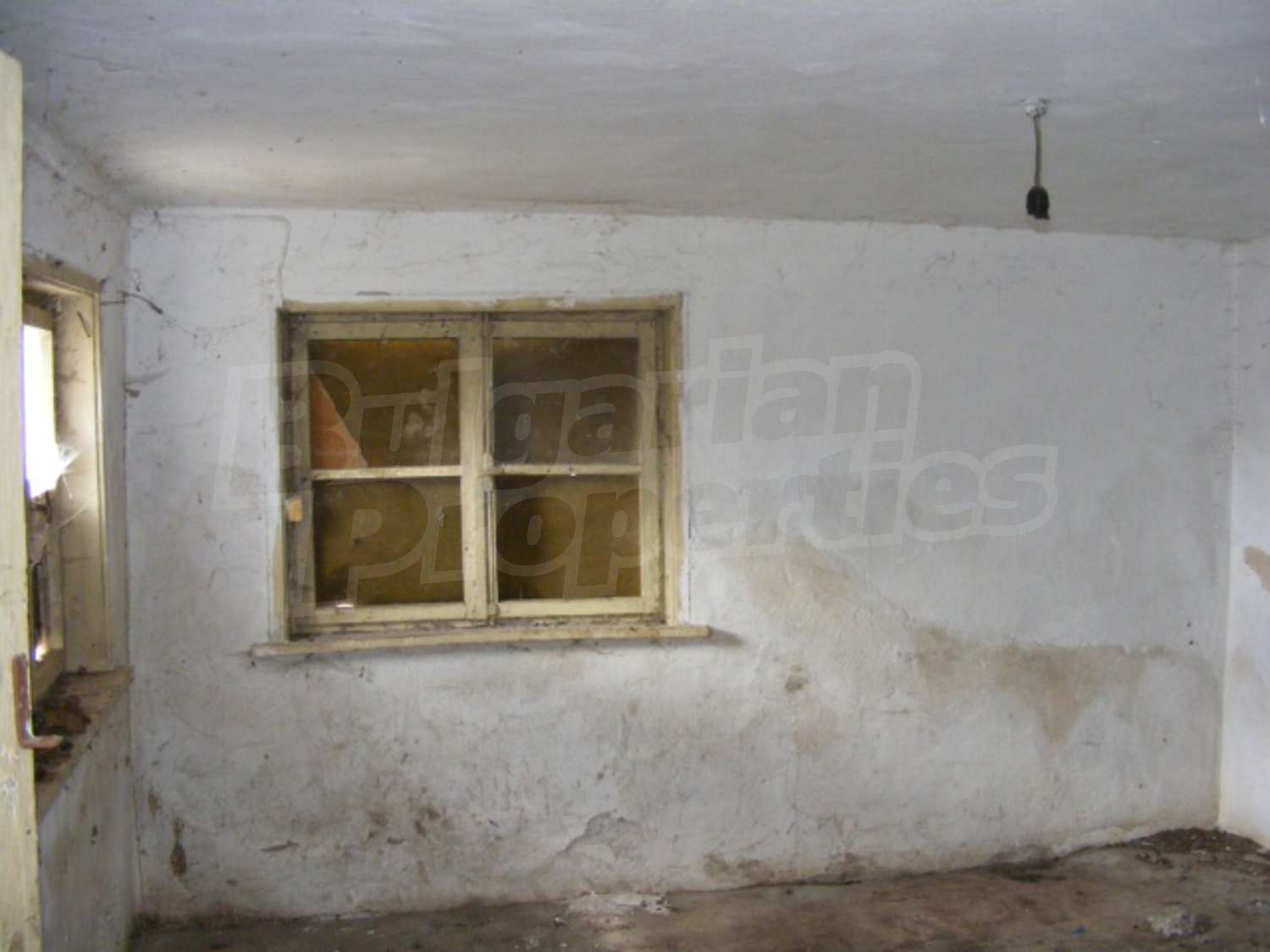 Gallery Picture 7