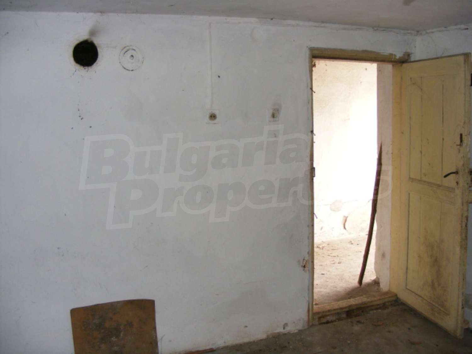 Gallery Picture 9
