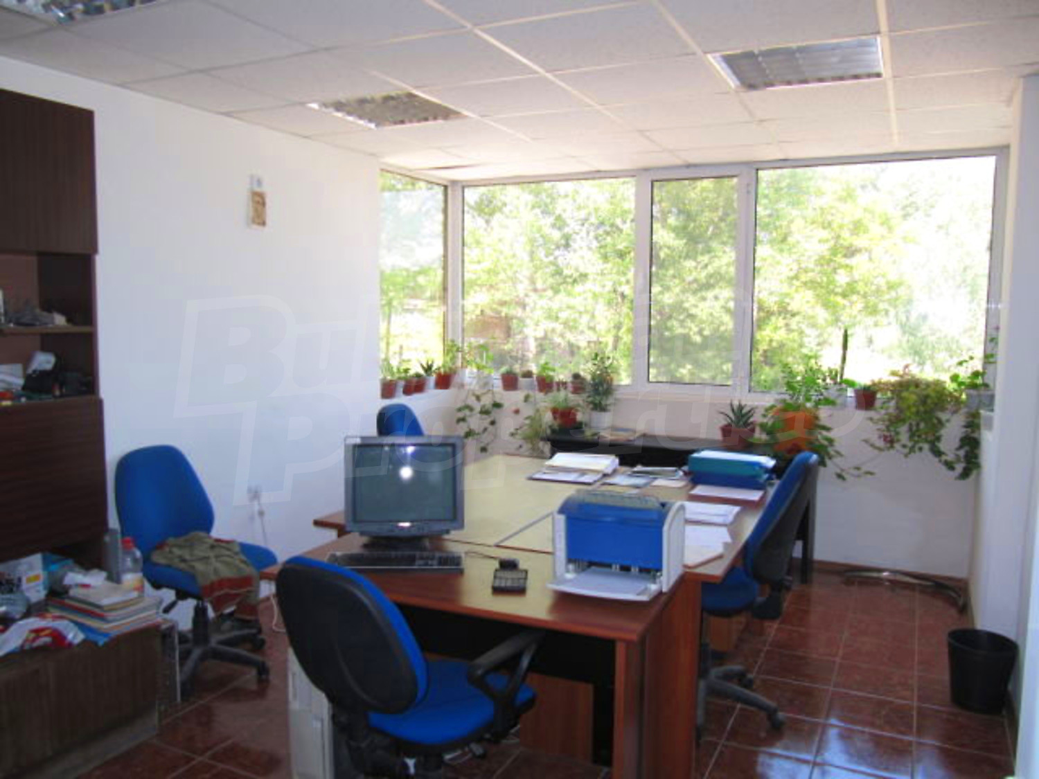 Gallery Picture 11