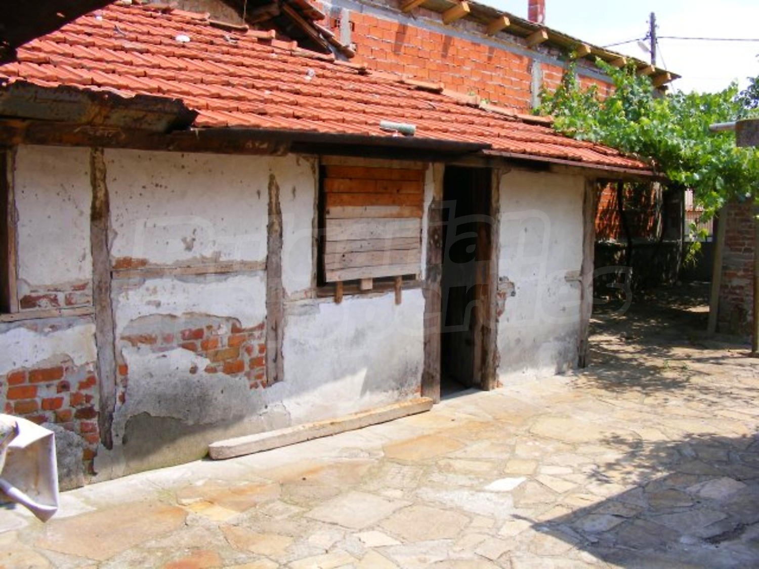 Gallery Picture 29