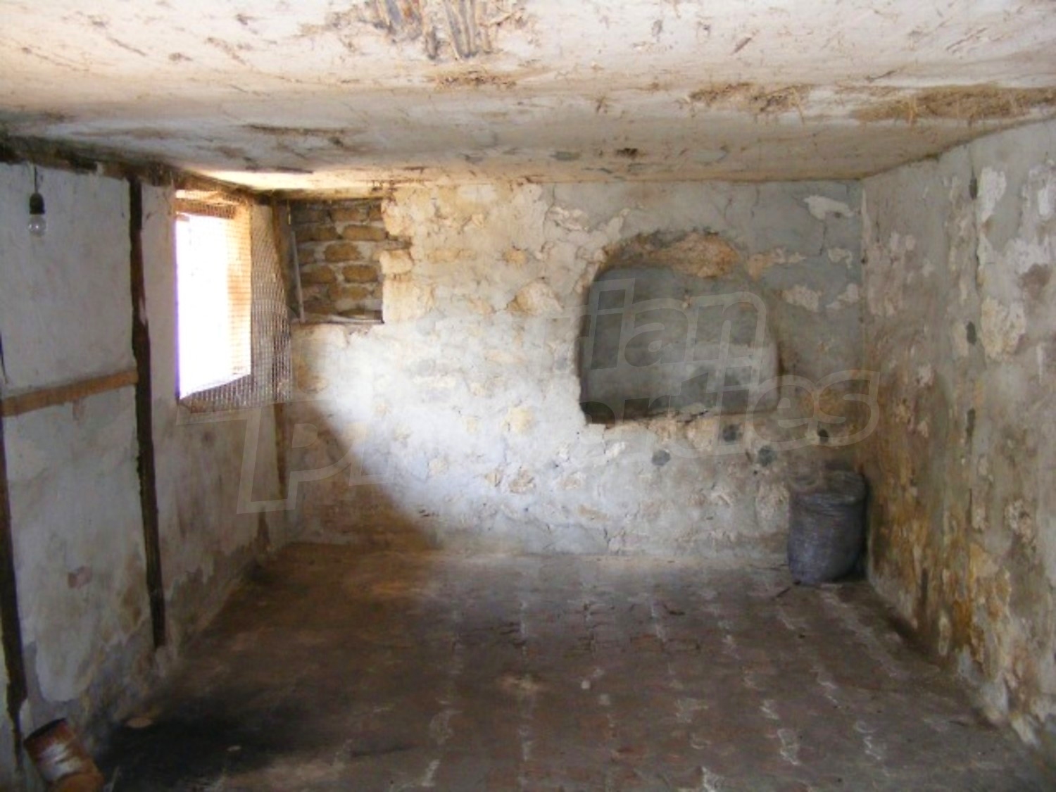 Gallery Picture 31