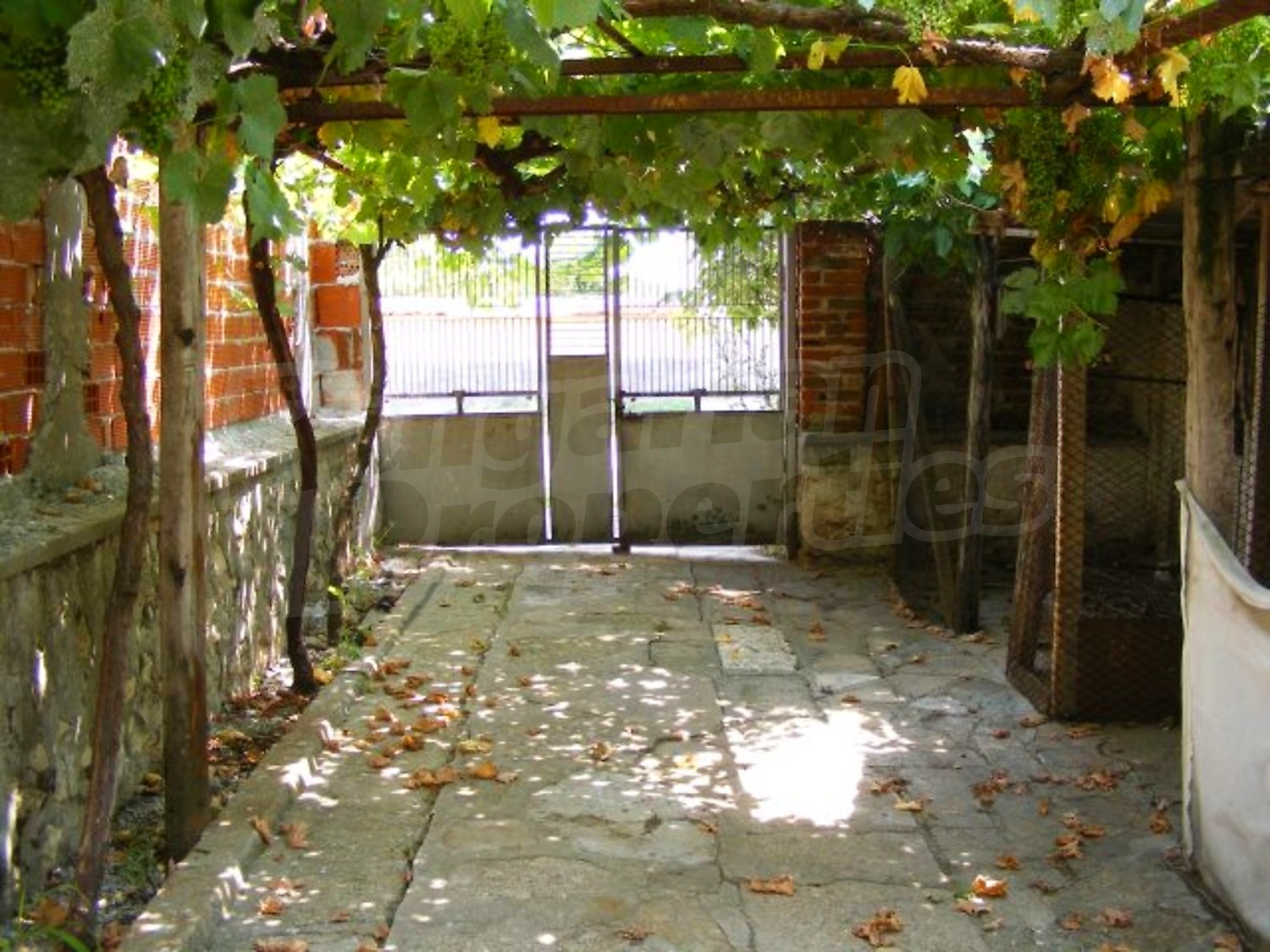 Gallery Picture 35