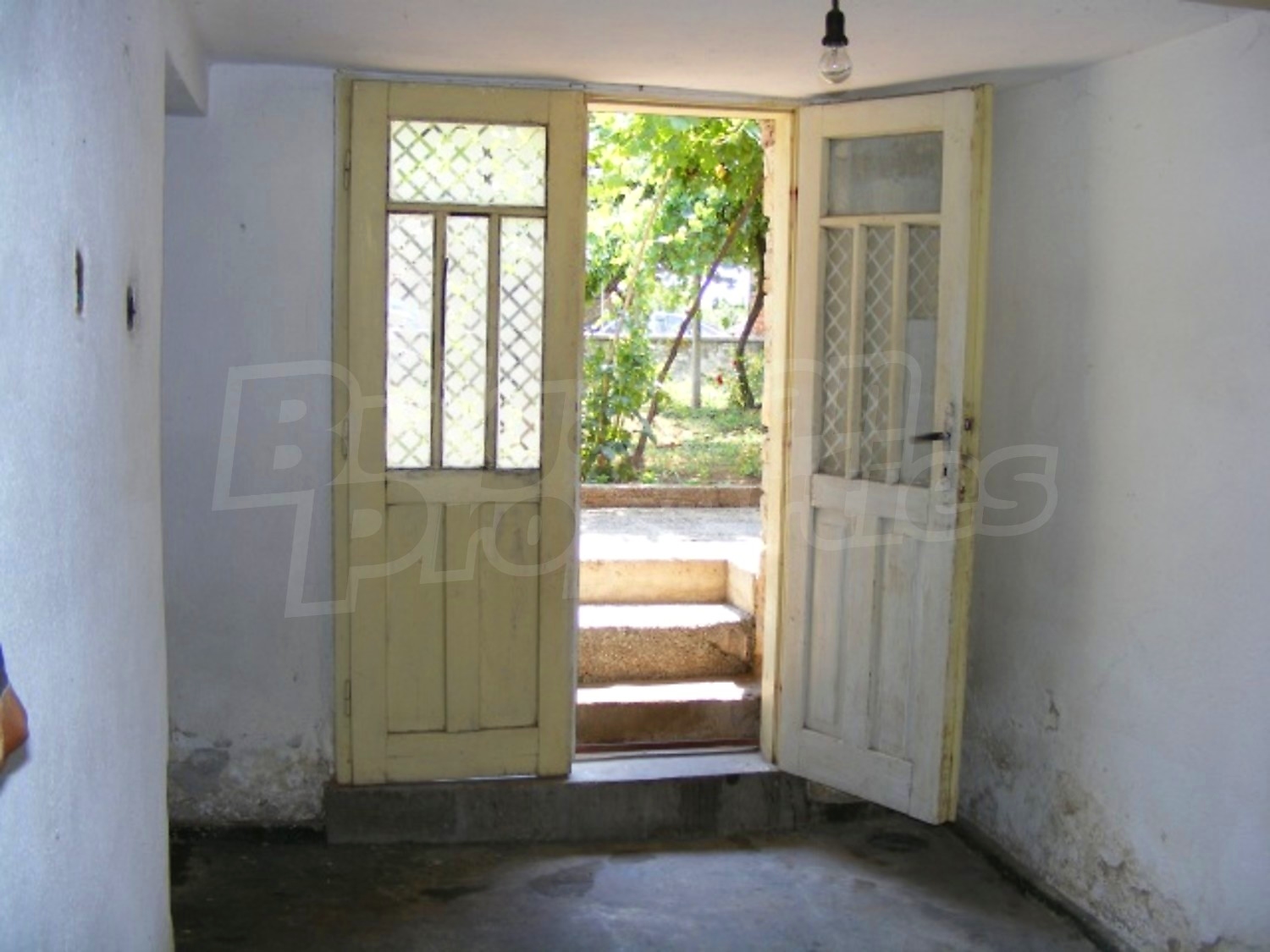 Gallery Picture 5