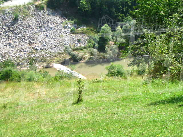 Gallery Picture 11