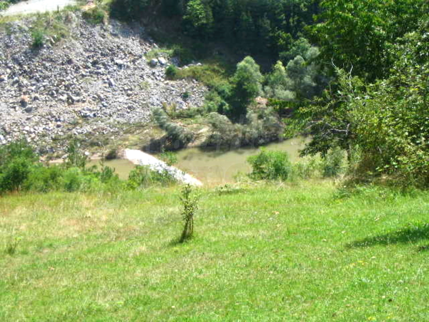 Gallery Picture 13