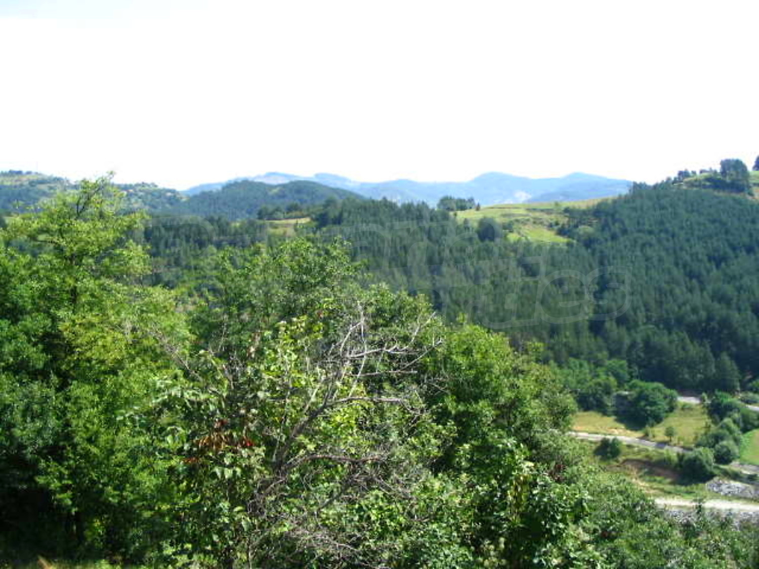 Gallery Picture 14