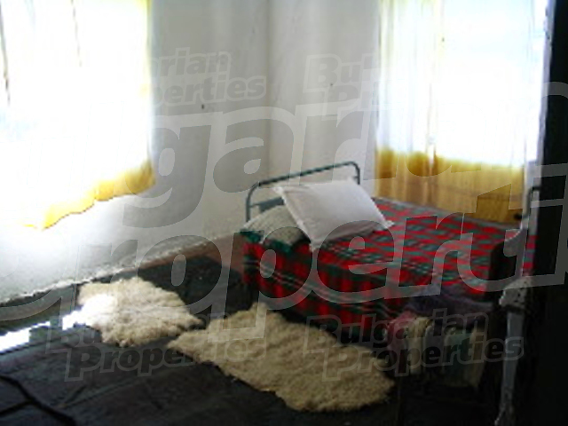 Gallery Picture 7