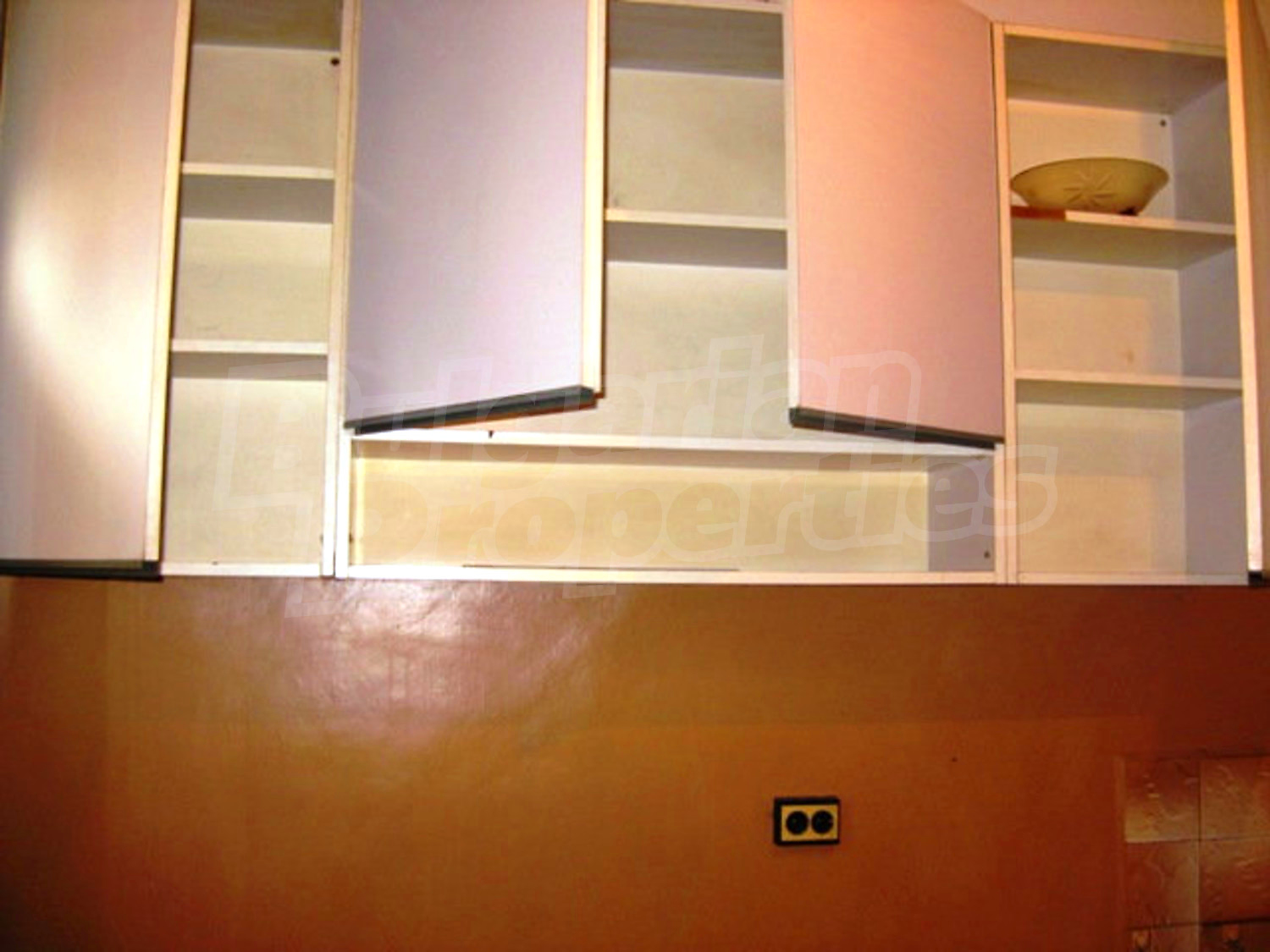 Gallery Picture 19